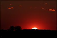 1139693832 15 FT0 Astrophoto05 
