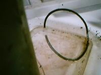 1140271889 173 FT386 Image04 