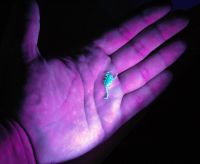 1140870319 10 FT2229 Uvscorpionuva 