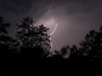 1145551162 79 FT7913 Lightning 007 