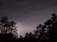 1145551162 79 FT7913 Lightning 059 