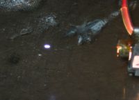 1151380208 56 FT0 Img 1841 