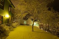 1166929869 27 FT18819 Snow 