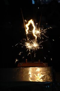 1183614063 154 FT27778 Lighting Sparklers With Hv 