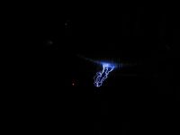 1184299566 632 FT27335 Img 0458 
