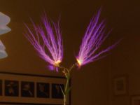 1195755492 1025 FT34567 Flower 