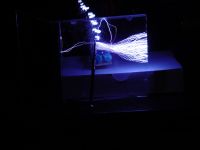 1201663104 1038 FT38042 Dsc00515 
