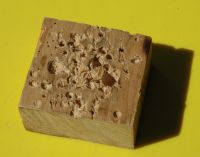 1204433438 10 FT0 Woodblock 
