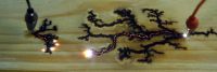 1204456170 10 FT40364 Woodburnfractal08a 