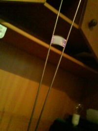 1229942954 1730 FT0 Dsc00037 