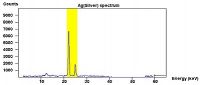Ray Spectrum 399pixels 