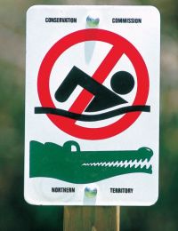 1286955920 543 FT0 Saltwater Croc Warning Sign 