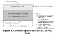 1296816376 543 FT0 Sic Schottky Diodes 