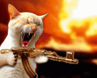 Cat3 