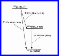 1310741165 543 FT0 137cs Decay 