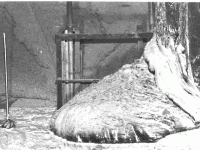 1390332929 543 FT127504 Chernobyl Corium 1 