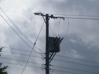 1409220448 3414 FT165356 Dscf1289 1409220448 3414 FT165356 Dscf1289