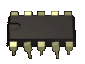 seadog